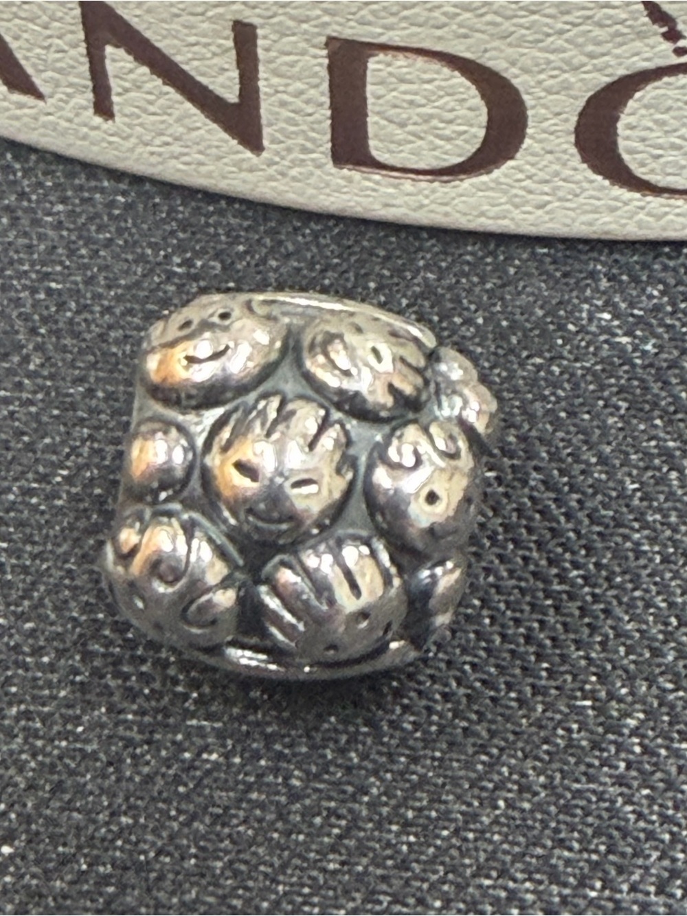 Authentic PANDORA Love & Family Charm Silver